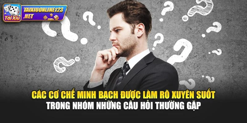 Các cơ chế minh bạch được làm rõ xuyên suốt trong nhóm những câu hỏi thường gặp