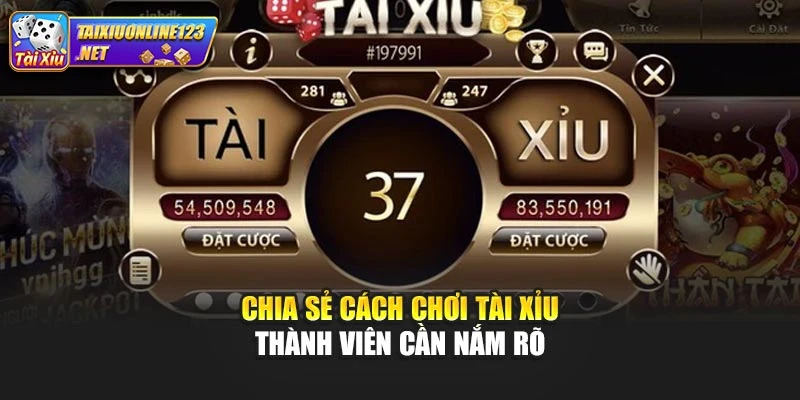Chia sẻ cách chơi tài xỉu thành viên cần nắm rõ