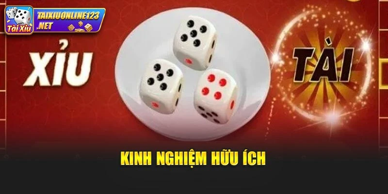 Kinh nghiệm hữu ích