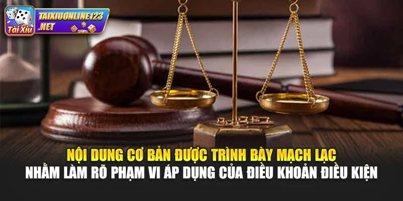 Nội dung cơ bản được trình bày mạch lạc nhằm làm rõ phạm vi áp dụng của điều khoản điều kiện